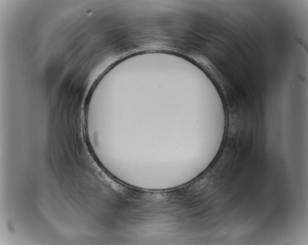 X0000100381286200806271326