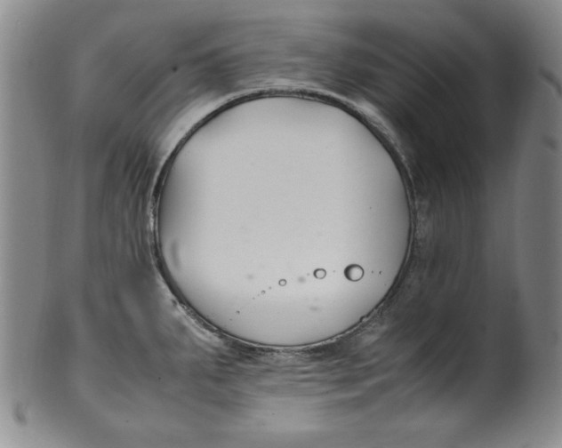 X0000100381287200806271325
