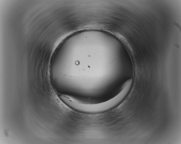 X0000100381288200806271325