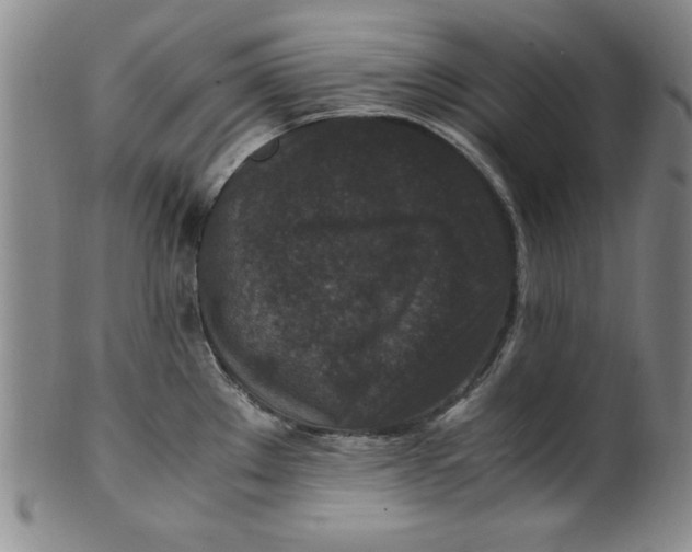 X0000100381289200806271325