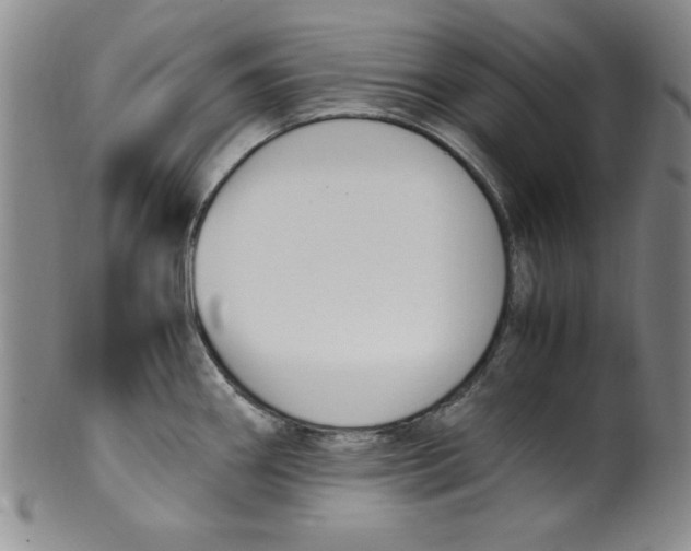 X0000100381290200806271325