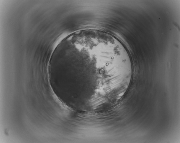 X0000100381291200806271325