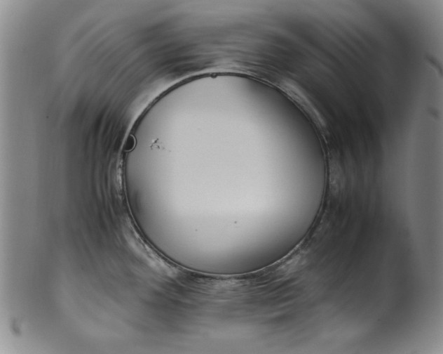 X0000100381292200806271325