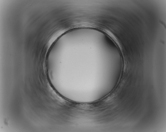 X0000100381293200806271325