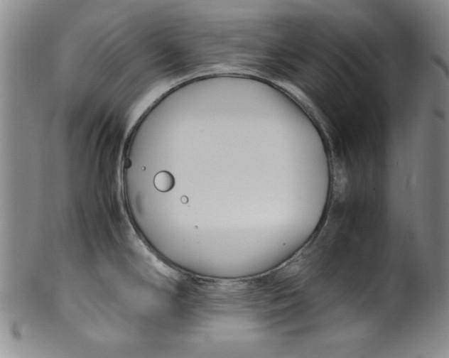 X0000100381294200806271325