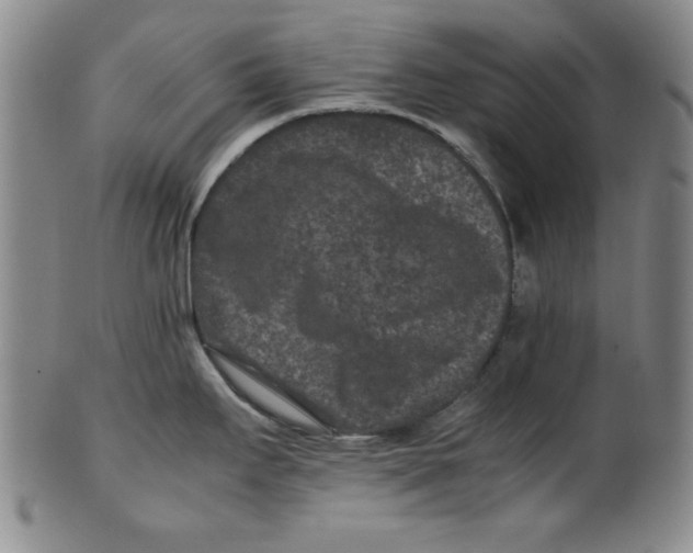 X0000100381295200806271325