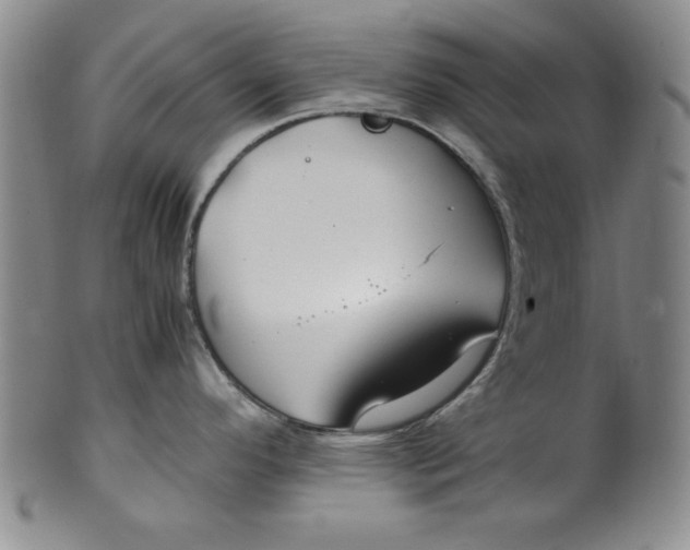 X0000100381296200806271325