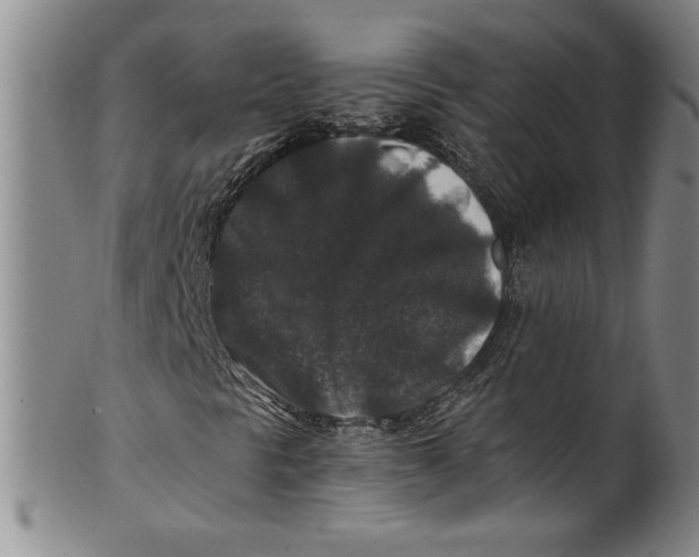 X0000100381297200806271325