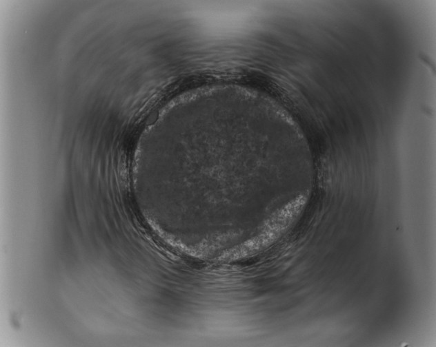 X0000100381298200806271325