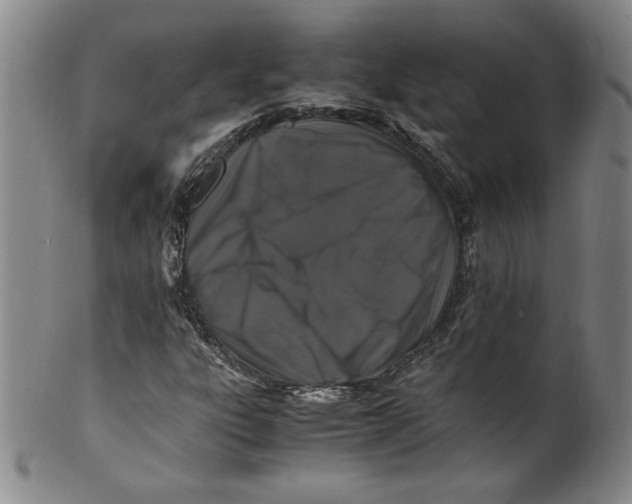 X0000100381303200806271325
