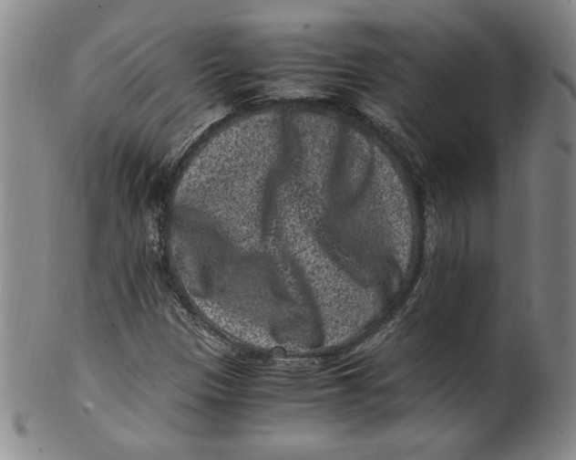 X0000100381305200806271325