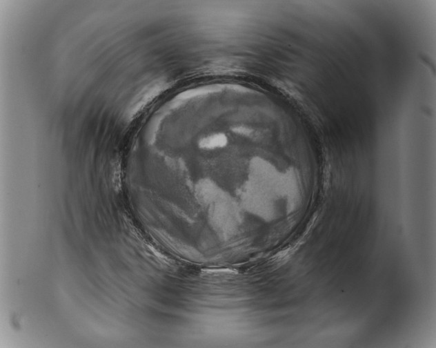 X0000100381306200806271325