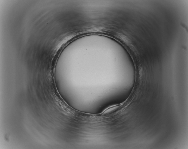 X0000100381308200806271325