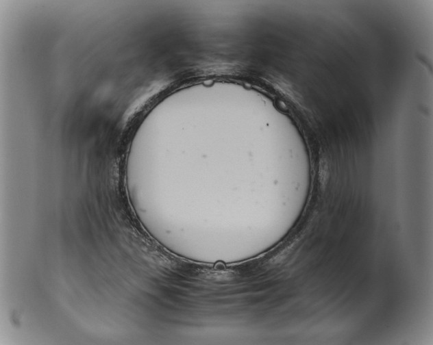 X0000100381309200806271325