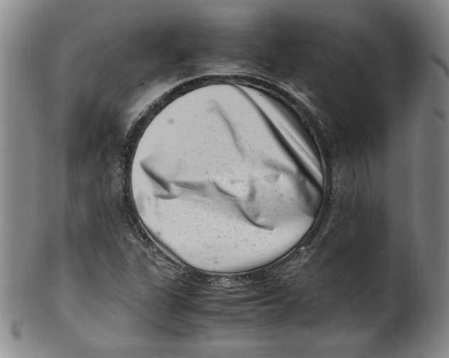 X0000100381311200806271325