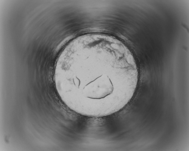 X0000100381314200806271325