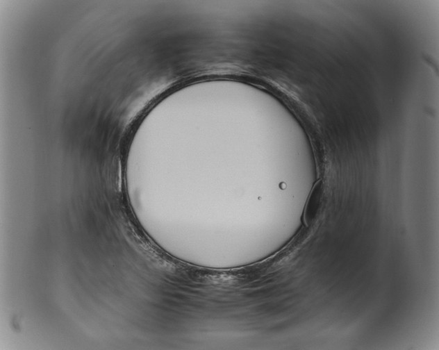 X0000100381317200806271325