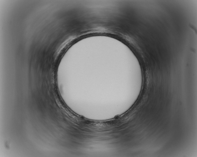 X0000100381318200806271325