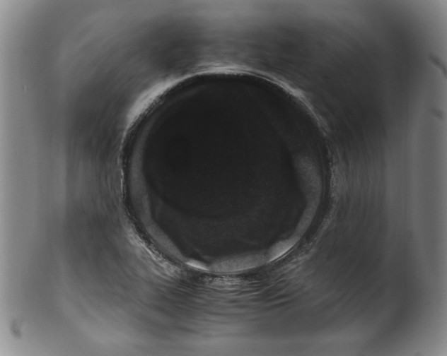 X0000100381319200806271325