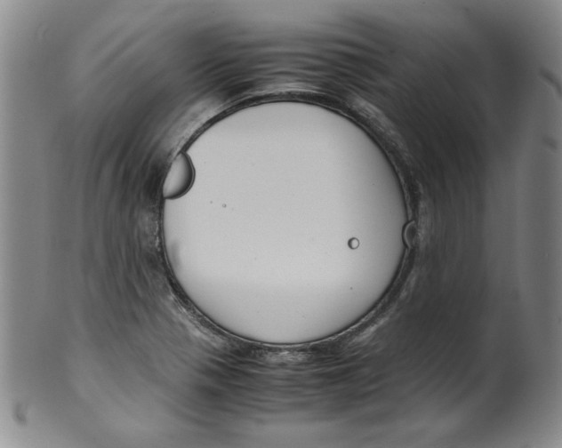 X0000100381321200806271325