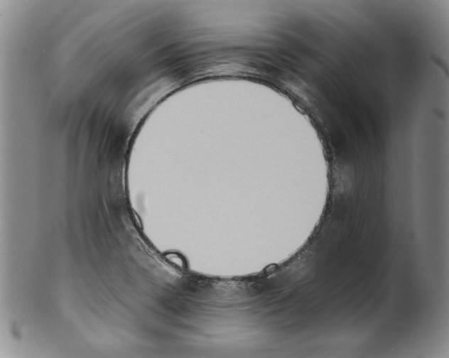 X0000100381322200806271325