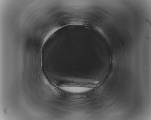 X0000100381323200806271325