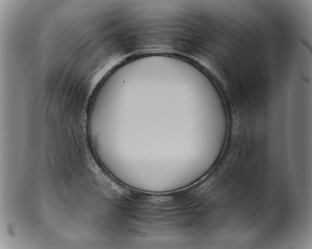 X0000100381325200806271325