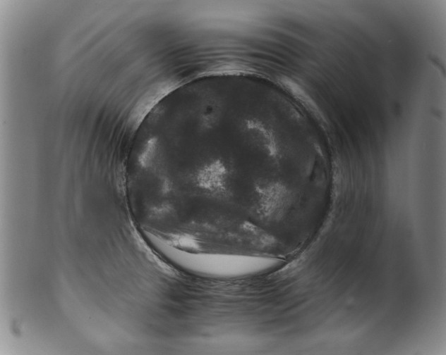 X0000100381329200806271325