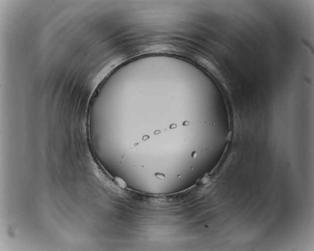 X0000100381330200806271325
