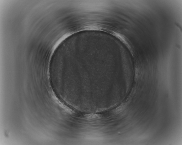 X0000100381331200806271325