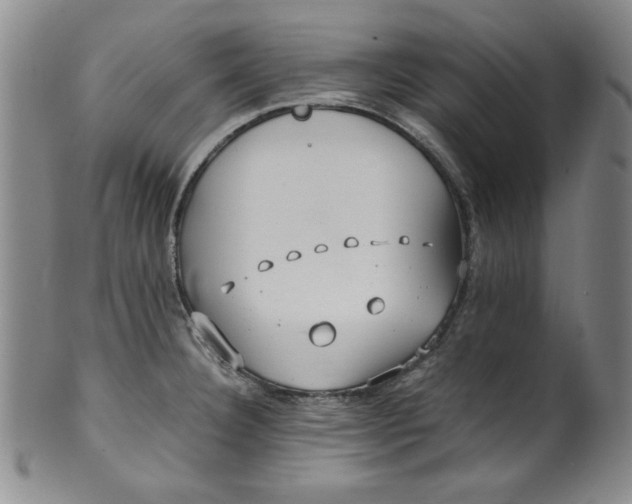X0000100381332200806271325