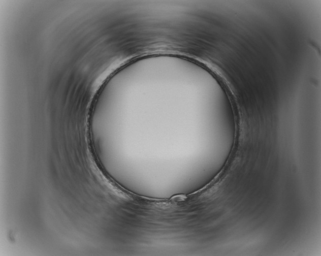 X0000100381333200806271325