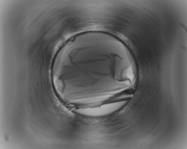 X0000100381334200806271325
