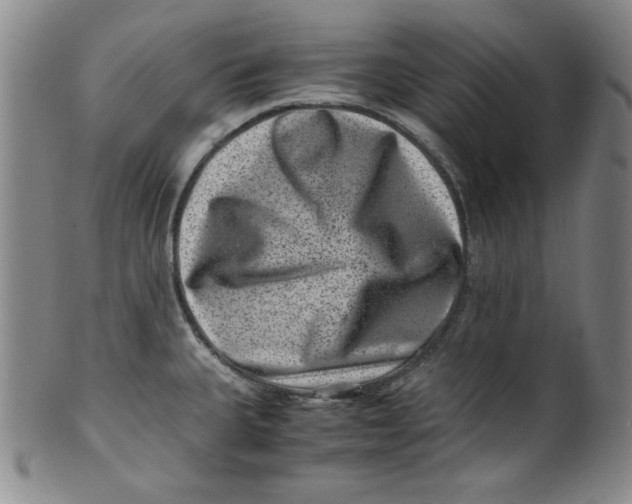 X0000100381335200806271325