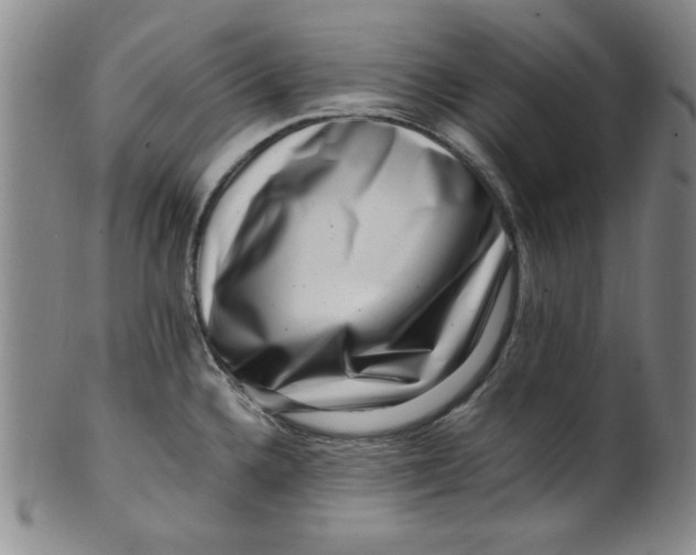 X0000100381336200806271325