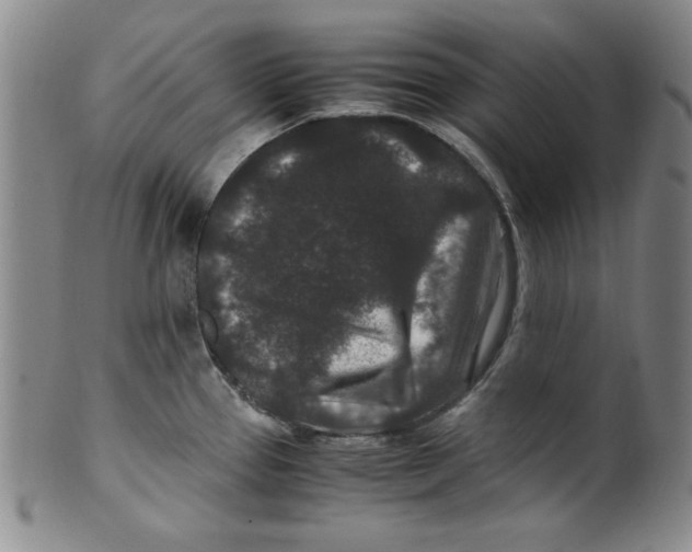 X0000100381337200806271325