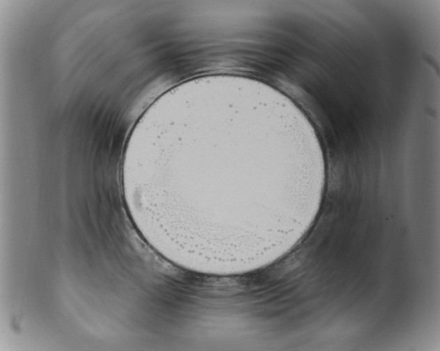 X0000100381338200806271325