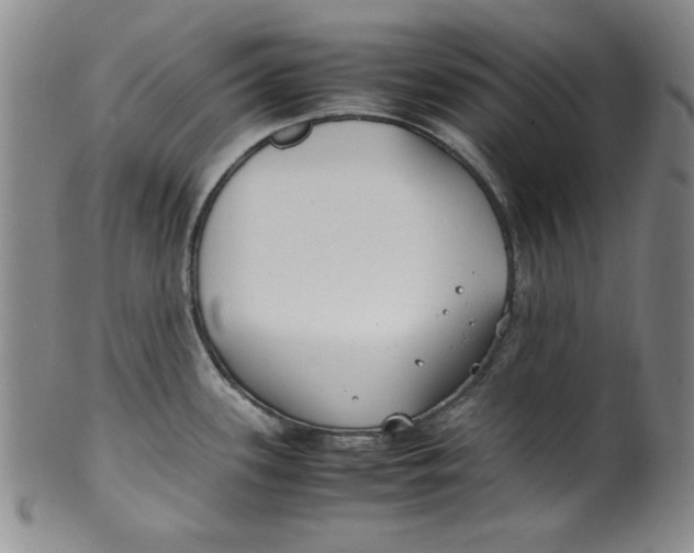 X0000100381339200806271325
