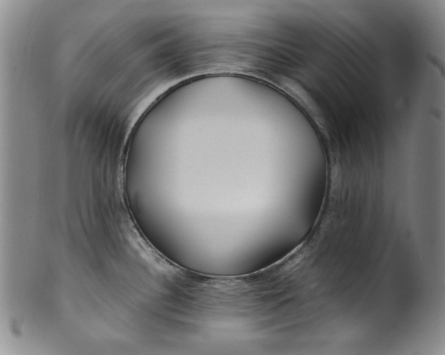 X0000100381340200806271325