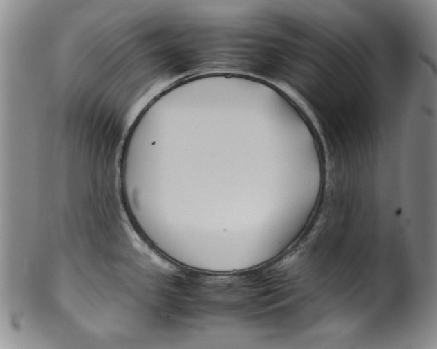 X0000100381341200806271325