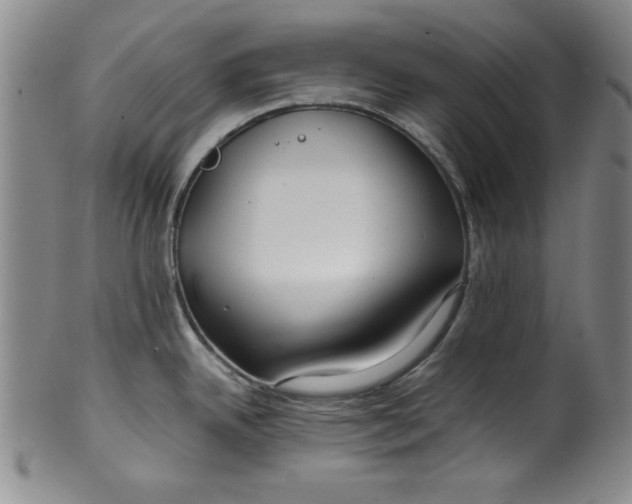 X0000100381342200806271325