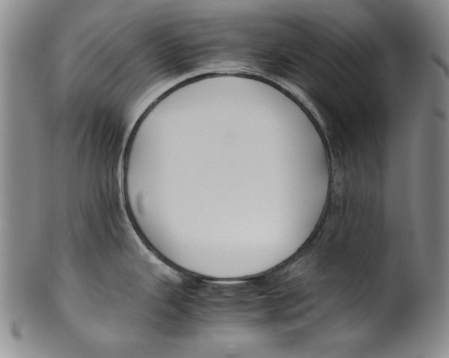 X0000100381343200806271325