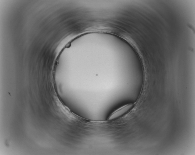 X0000100381344200806271325