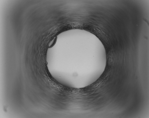X0000100381345200806271325