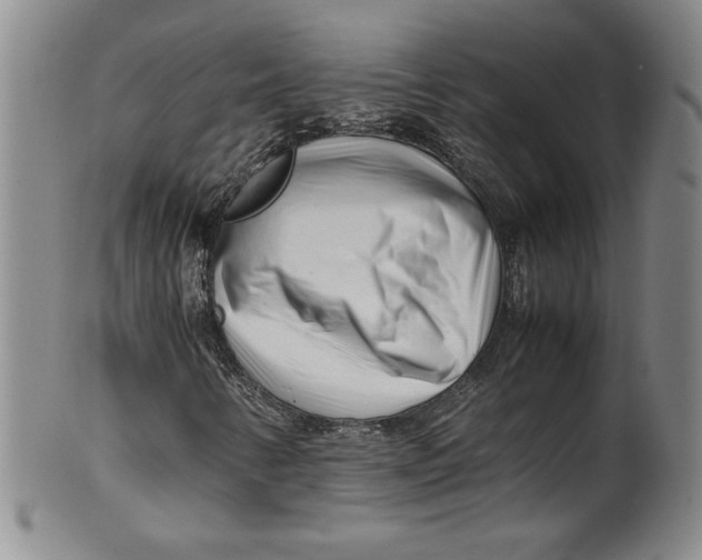 X0000100381346200806271325