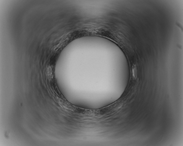 X0000100381347200806271325
