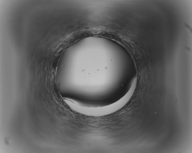 X0000100381349200806271325