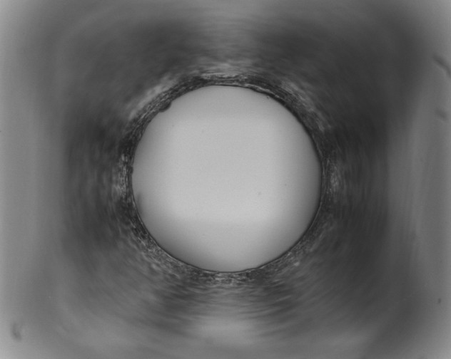 X0000100381350200806271325