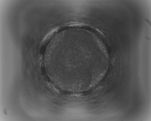 X0000100381351200806271325