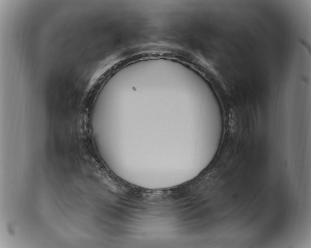 X0000100381352200806271325